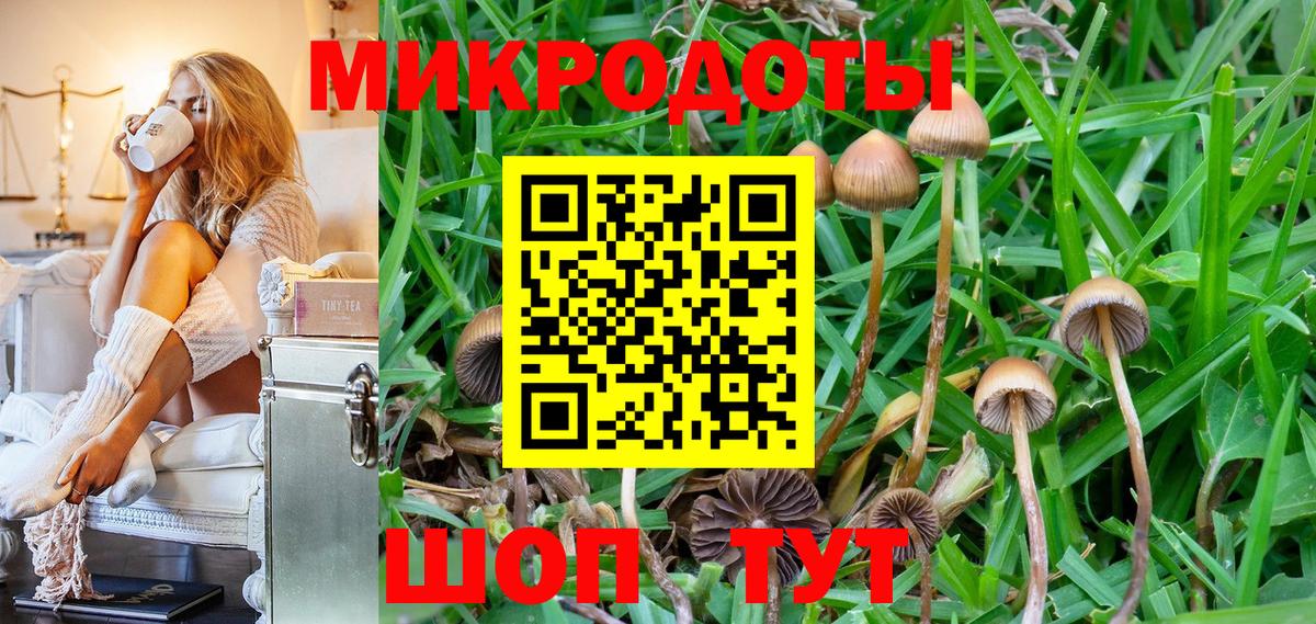 Галлюциногенные грибы Magic Shrooms  Вход с VPN  Миллерово  Галлюциногенные грибы Psilocybine cubensis 